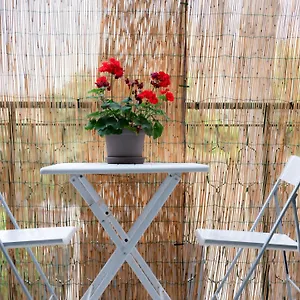  Apartment Mondello Cottage